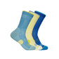 Crew Run Sock 3-Pack Alpine Blue / Cardamon / Ultramarine