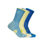Crew Run Sock 3-Pack Alpine Blue / Cardamon / Ultramarine