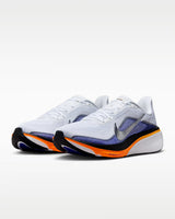 Air Zoom Pegasus 42 (Men)