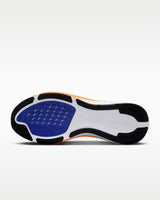 Air Zoom Pegasus 42 (Men)