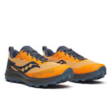 Peregrine 14 GTX (Men)