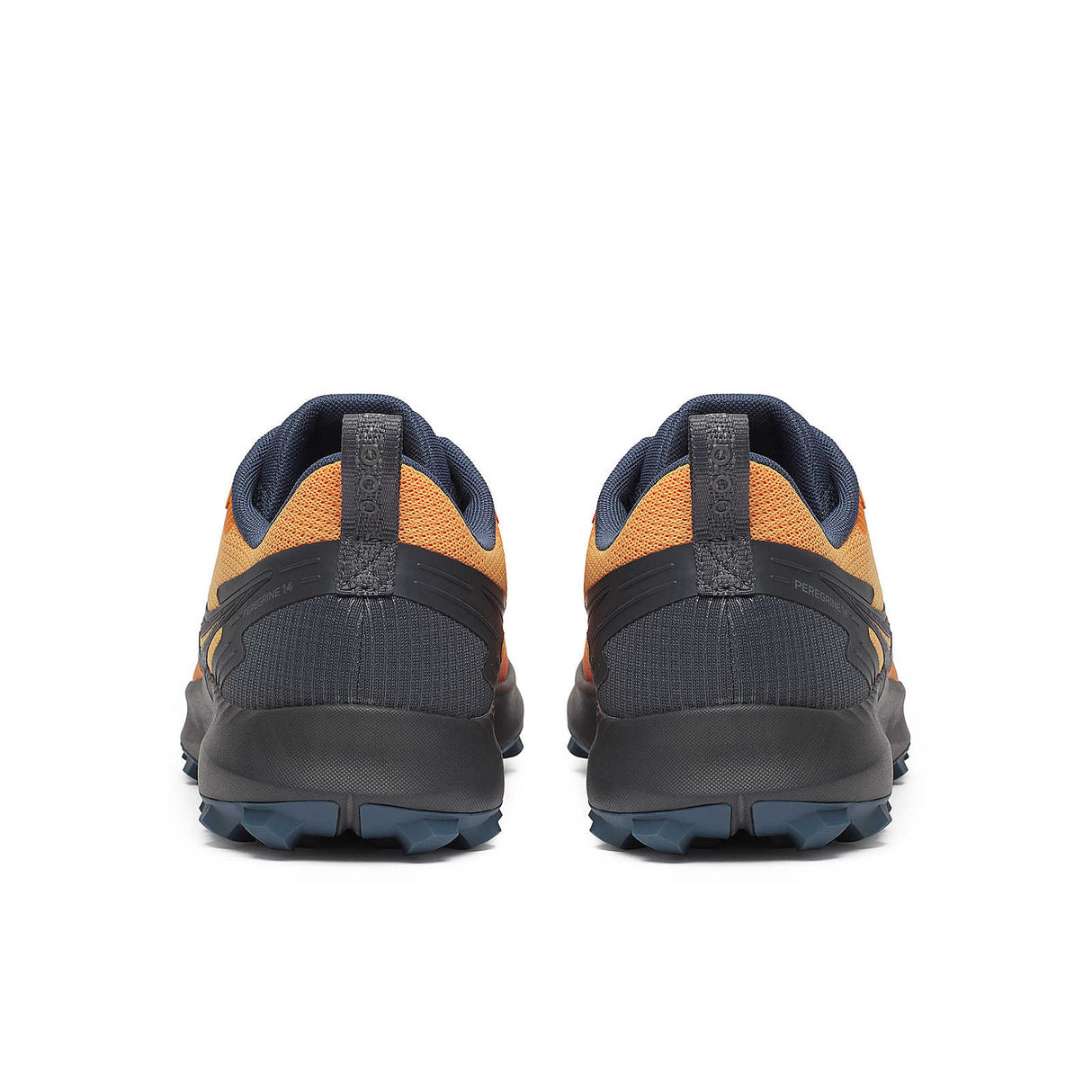 Peregrine 14 GTX (Men)