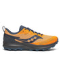 Peregrine 14 GTX (Men)