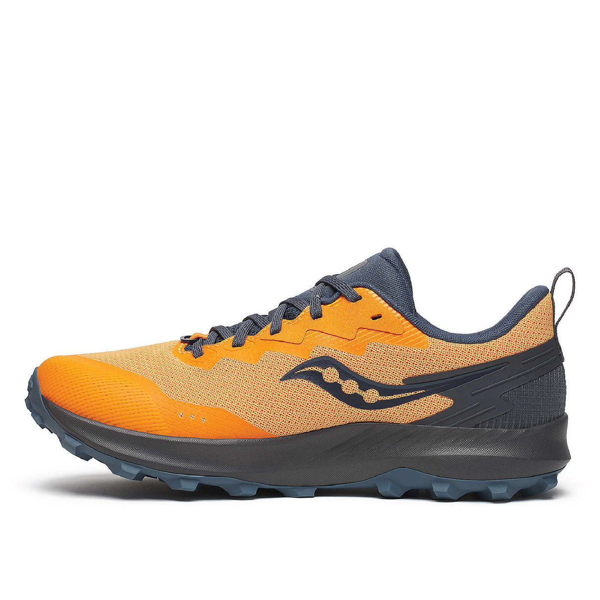 Peregrine 14 GTX (Men)