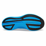 Echo Viziblue